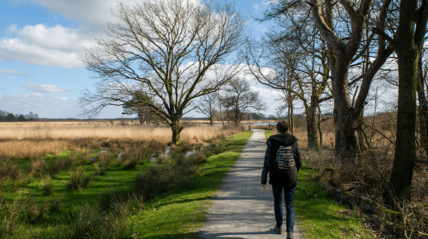 Nature Walks Around Švenčionys and Local Ethnographic Museums